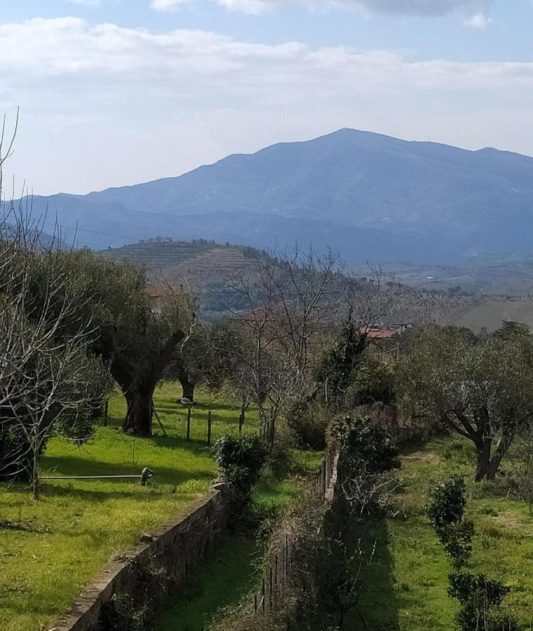 Cilens Aurea Villa Vallo della Lucania Exterior foto